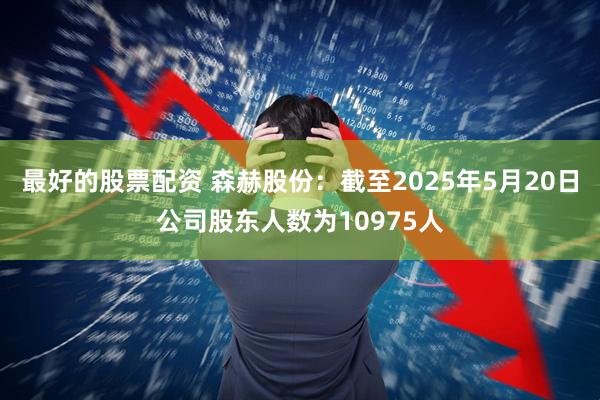 最好的股票配资 森赫股份：截至2025年5月20日公司股东人数为10975人