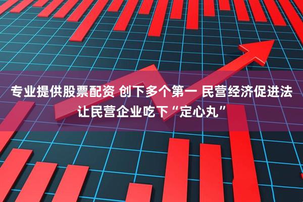 专业提供股票配资 创下多个第一 民营经济促进法让民营企业吃下“定心丸”