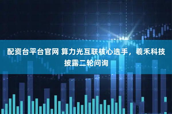 配资台平台官网 算力光互联核心选手，羲禾科技披露二轮问询